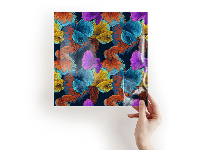 alpha betta fish salt water Craft Sheets