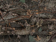 Ambush  Camouflage Vinyl Wrap Pattern~Rwraps Series 914 Digitally Printed Vinyl Wrap~0