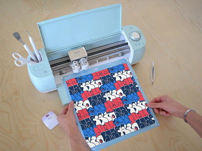 Cricut Compatible Vinyl