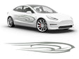 3M Light Gray Angel's Wings Body Graphic~Full Side Auto Decal Kit~0