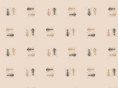 Anthill Visitations Bug Vinyl Wrap Pattern~Rwraps Series 914 Digitally Printed Vinyl Wrap~0