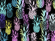 Antigua Black Fruit Vinyl Wrap Pattern~Rwraps Series 914 Digitally Printed Vinyl Wrap~0