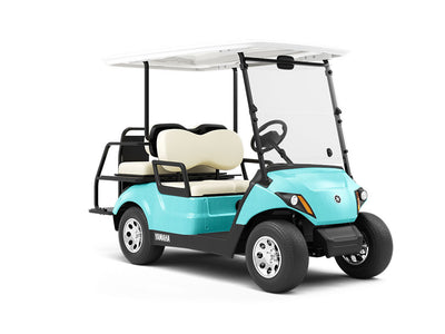 Aqua  Wood Plank Wrapped Golf Cart