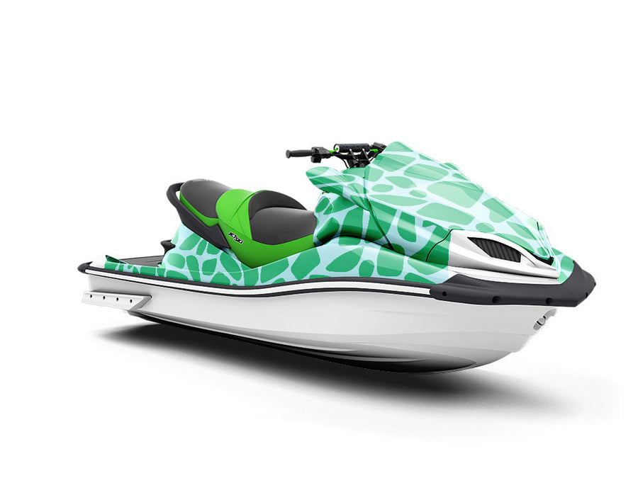Aquamarine  Cobblestone Jet Ski Vinyl Customized Wrap