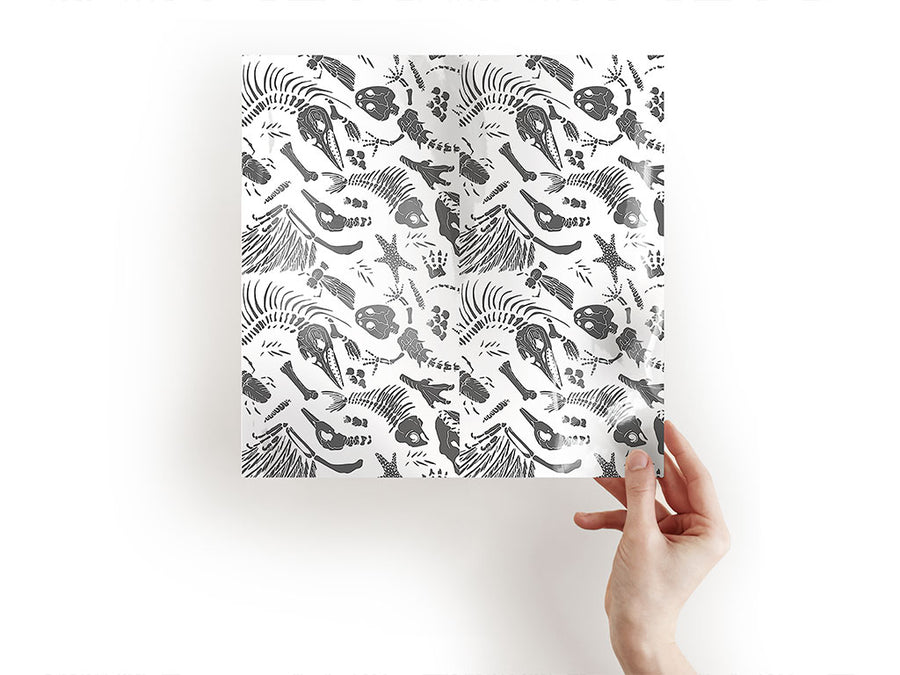 archeological remains dinosaur Craft Sheets