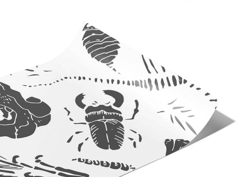 Archeological Remains Dinosaur Vinyl Wraps~Rwraps Series 914 Digitally Printed Vinyl Wrap~0