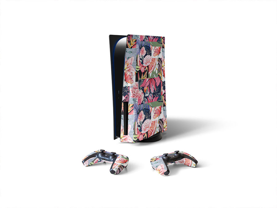 Sony PS5 DIY Skin