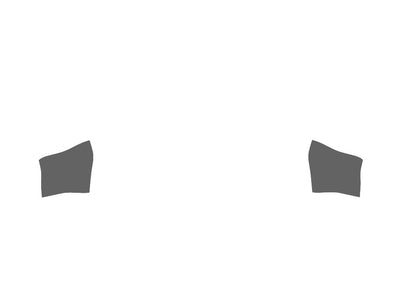 Rshield™ Audi S4 2020-2025 Fog Light Protection Kit