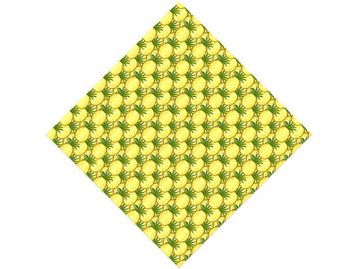 Australian Queen Fruit Vinyl Wrap Pattern