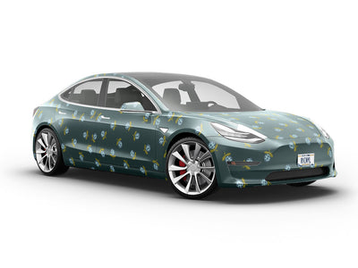 Autumn Britten Fruit Vehicle Vinyl Wrap