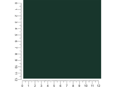 Avery PR800 Bottle Green Translucent 1ft x 1ft Craft Sheets