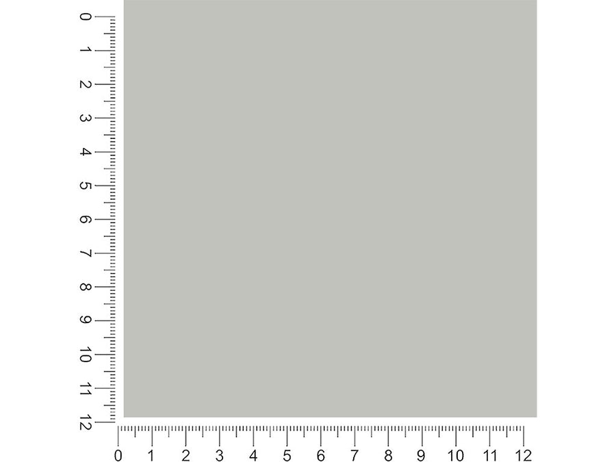 Avery SC950 Palm Oyster Opaque 1ft x 1ft Craft Sheets