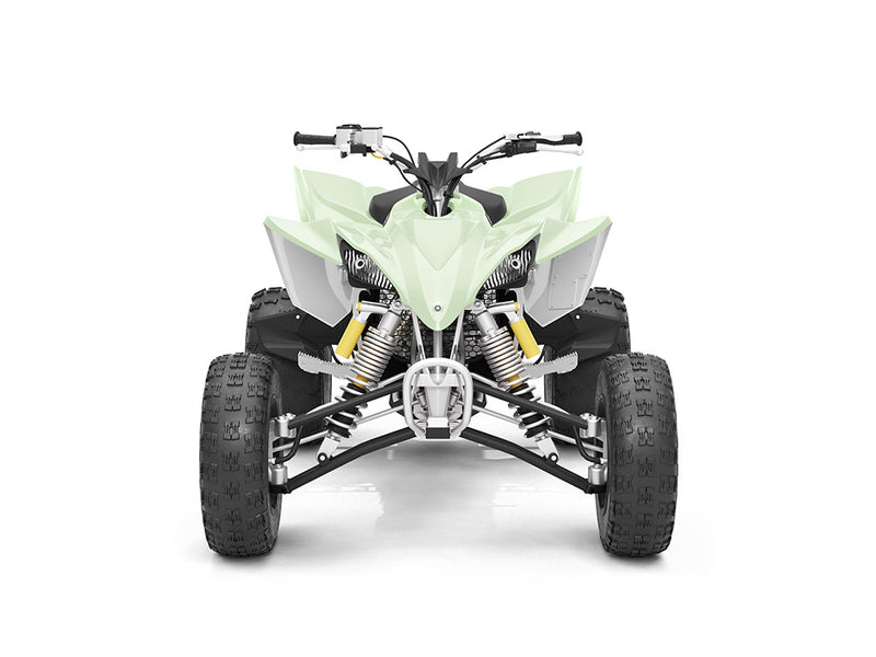 Avery Dennison SW900 Gloss Light Pistachio DIY ATV Wraps