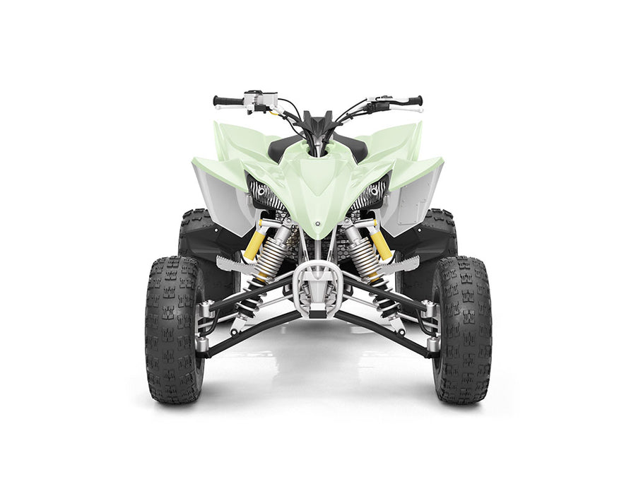 Avery Dennison SW900 Gloss Light Pistachio DIY ATV Wraps
