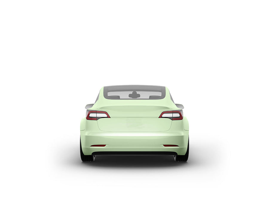 Avery Dennison SW900 Gloss Light Pistachio Car Vinyl Wraps