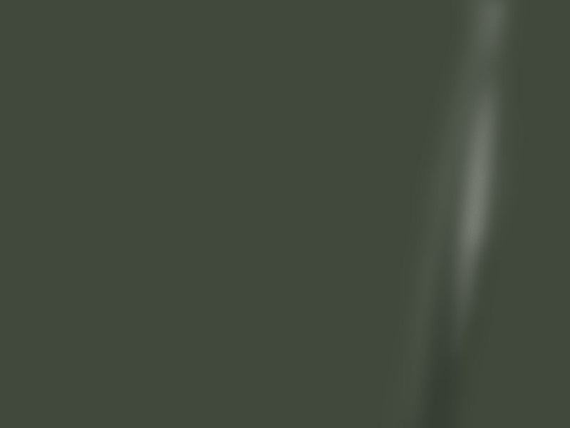 Avery Dennison™ SW900 Matte Olive Green Dishwasher Wrap Color Swatch