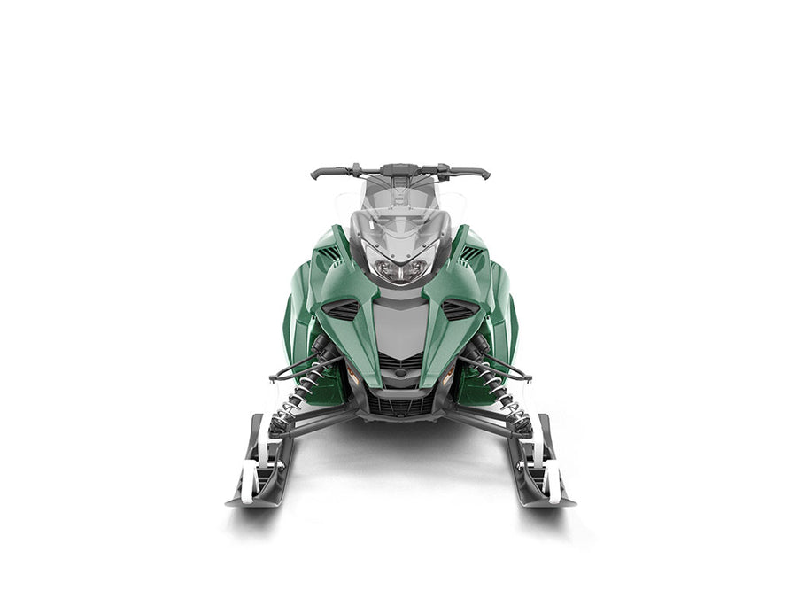 Avery Dennison SW900 Gloss Metallic Radioactive DIY Snowmobile Wraps