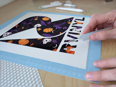 awfully familiar bird Easy Weed Craft Vinyl