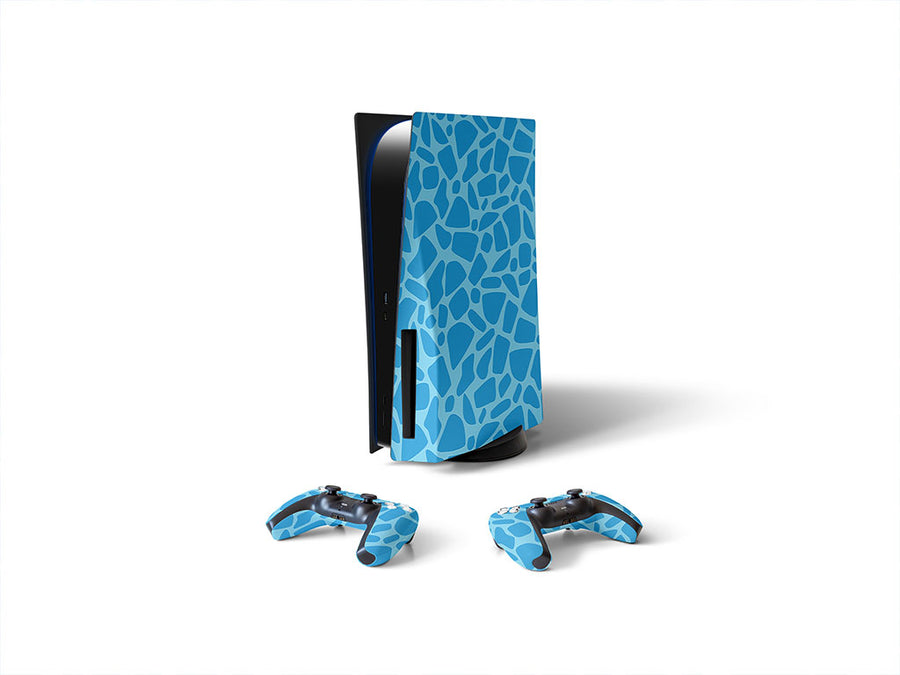 Sony PS5 DIY Skin