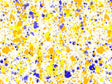Beachy Vibes Paint Splatter Vinyl Wrap Pattern~Rwraps Series 914 Digitally Printed Vinyl Wrap~0