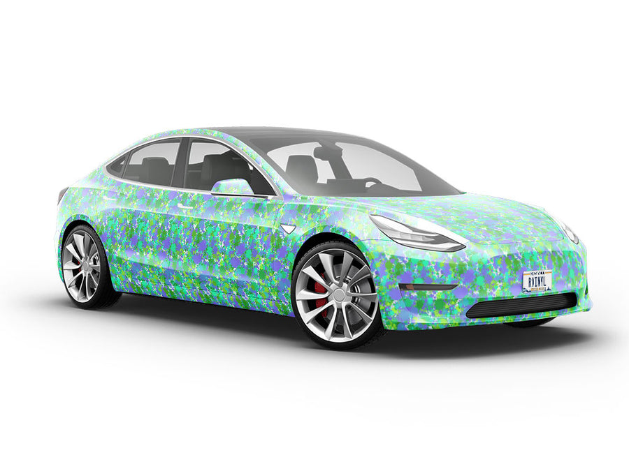 Beat Boy Paint Splatter Vehicle Vinyl Wrap