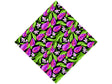 Belle de Louvain Fruit Vinyl Wrap Pattern