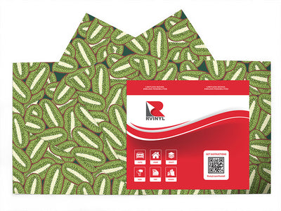 big bruno fruit Craft Vinyl Sheet Pack