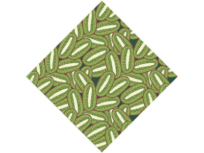 Big Bruno Fruit Vinyl Wrap Pattern