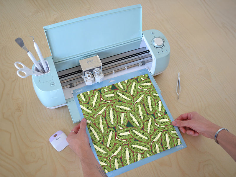 big bruno fruit Cricut Compatible Vinyl