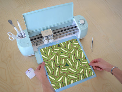 big bruno fruit Cricut Compatible Vinyl