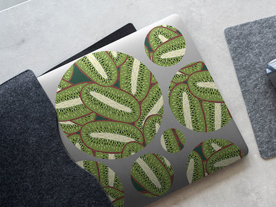 big bruno fruit DIY Laptop Stickers