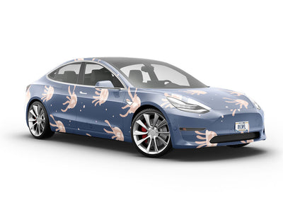 Bikini Jellies Marine Life Vehicle Vinyl Wrap