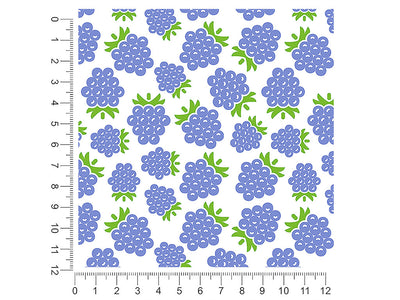 bite-size bubbles fruit 1ft x 1ft Craft Sheets