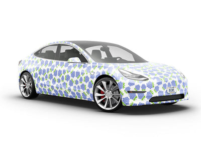 Bite-Size Bubbles Fruit Vehicle Vinyl Wrap