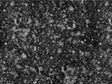 Black Sheep Gemstone Vinyl Wrap Pattern~Rwraps Series 914 Digitally Printed Vinyl Wrap~0