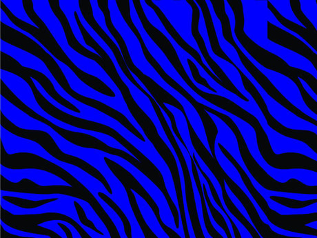 Blue Tiger Vinyl Wrap Pattern~Rwraps Series 914 Digitally Printed Vinyl Wrap~0