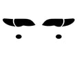 bmw 3-series 2002-2005 (sedan / wagon) Headlight Protection Kit