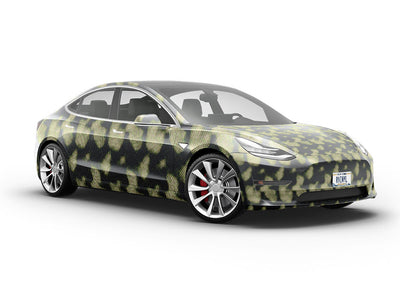 Boa Constrictor Snake Vehicle Vinyl Wrap