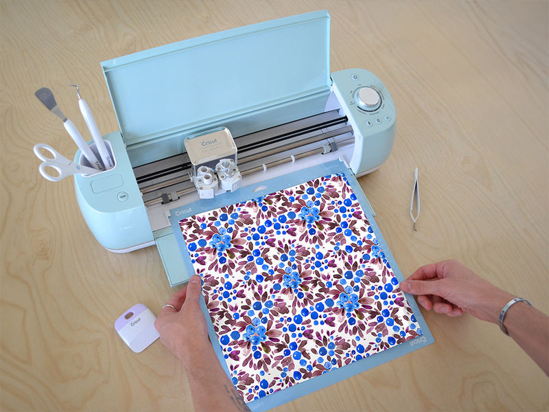 bog bilberry fruit Cricut Compatible Vinyl