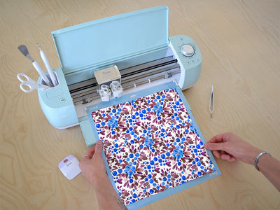 bog bilberry fruit Cricut Compatible Vinyl