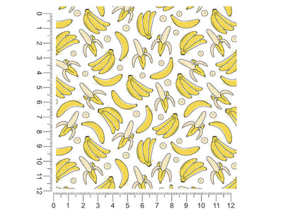 bold burro fruit 1ft x 1ft Craft Sheets