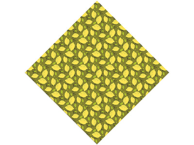 Bonnie Brae Fruit Vinyl Wrap Pattern