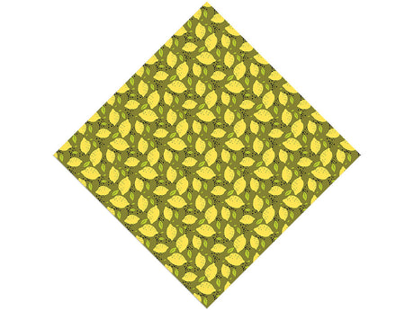 Bonnie Brae Fruit Vinyl Wrap Pattern