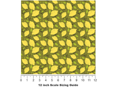 Bonnie Brae Fruit Vinyl Film Pattern Size 12 inch Scale~Rwraps Bonnie Brae Fruit Sizing Chart~2
