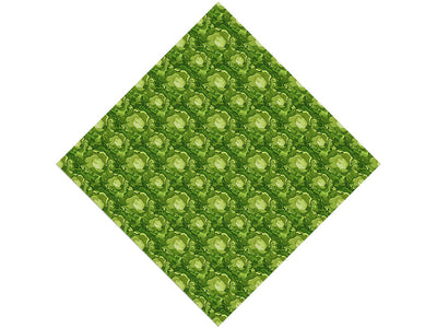 Boston Butterhead Vegetable Vinyl Wrap Pattern