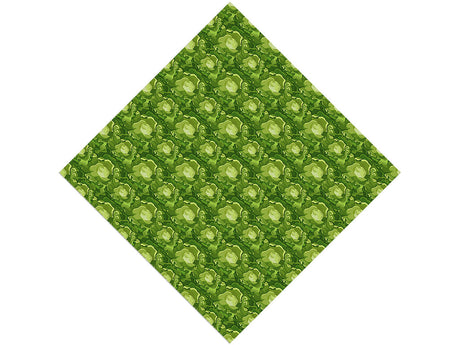 Boston Butterhead Vegetable Vinyl Wrap Pattern
