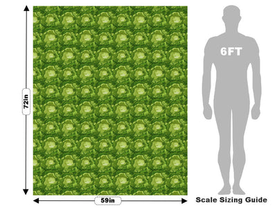 Boston Butterhead Vegetable Vehicle Wrap Scale~Rwraps Series 914 Boston Butterhead Vegetable Measurements~1