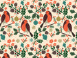 Branch Observations Birds Vinyl Wrap Pattern~Rwraps Series 914 Digitally Printed Vinyl Wrap~0