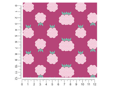 brandywine quench fruit 1ft x 1ft Craft Sheets