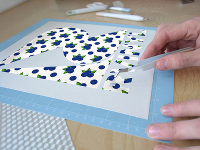 brightwell snack fruit Easy Weed Craft Vinyl